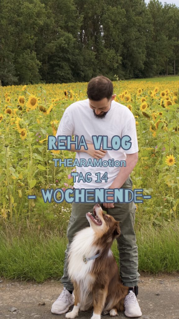 Rehavlog14