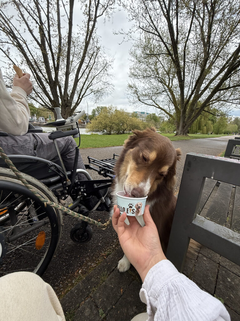 Nemo schleckt Eis im Kurpark Bad Rappenau