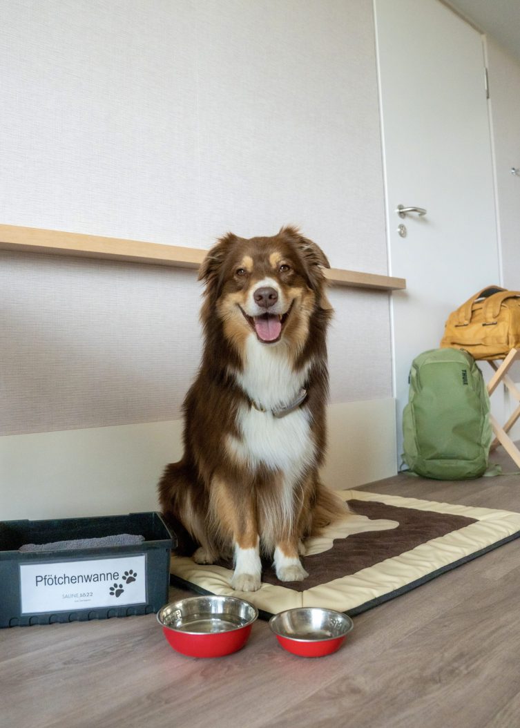 Nemo auf der Decke