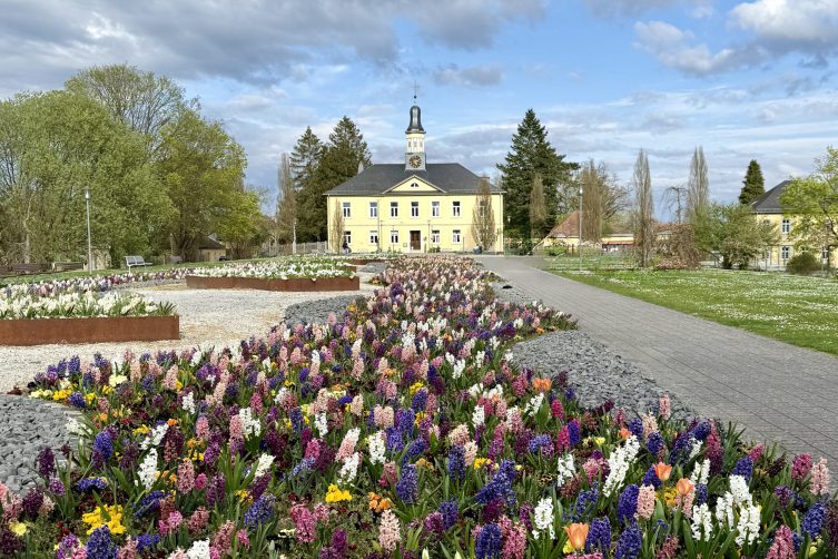 Kurpark Bad Rappenau